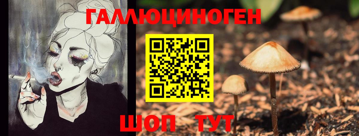 Лесной  Псилоцибиновые грибы Magic Shrooms  Вход с VPN 